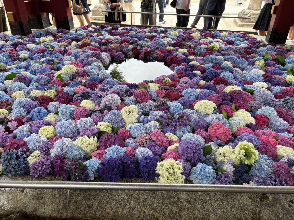 色とりどりの紫陽花で埋め尽くされた太宰府天満宮の手水舎